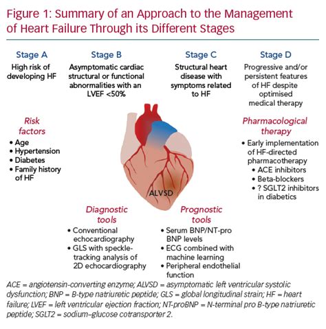 end stage lv systolic dysfunction.